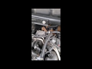 video by overheard belozersk