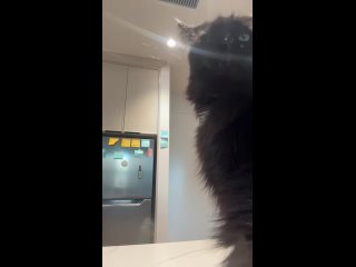 tiktok @brookedeighton 2026 03 29 20 13 05 720p happy sunday mp4